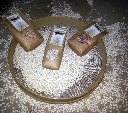 El producto final son los saquitos de 1 Kg de alubias que comercializamos. En esta foto se ven 3 de estas bolsas sobre una ceranda: el instrumento tradicional con el que se criban las legumbres.
